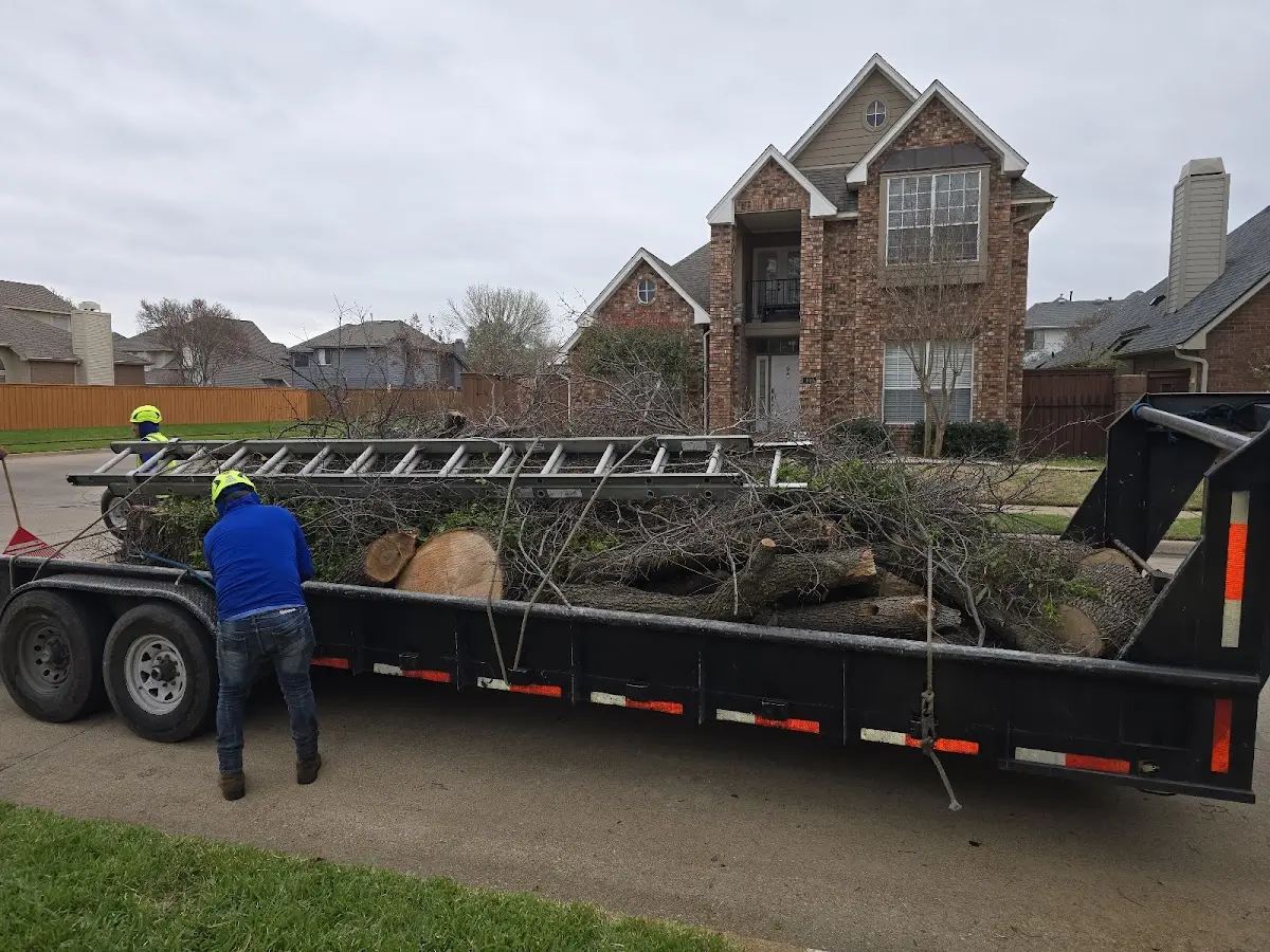 Expert Lot Clearing with proper safety equipment in Anna